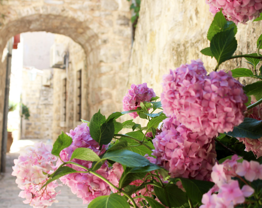 budva old town 8