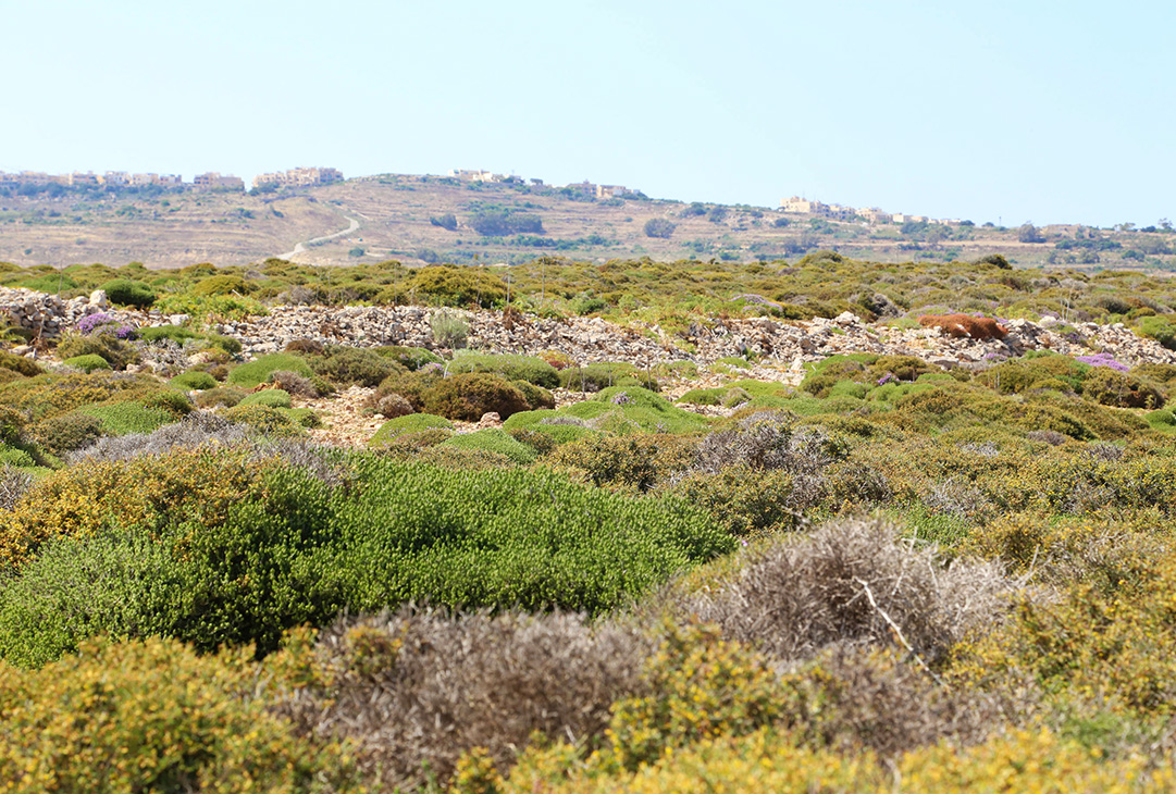 blue-lagoon-malta-8