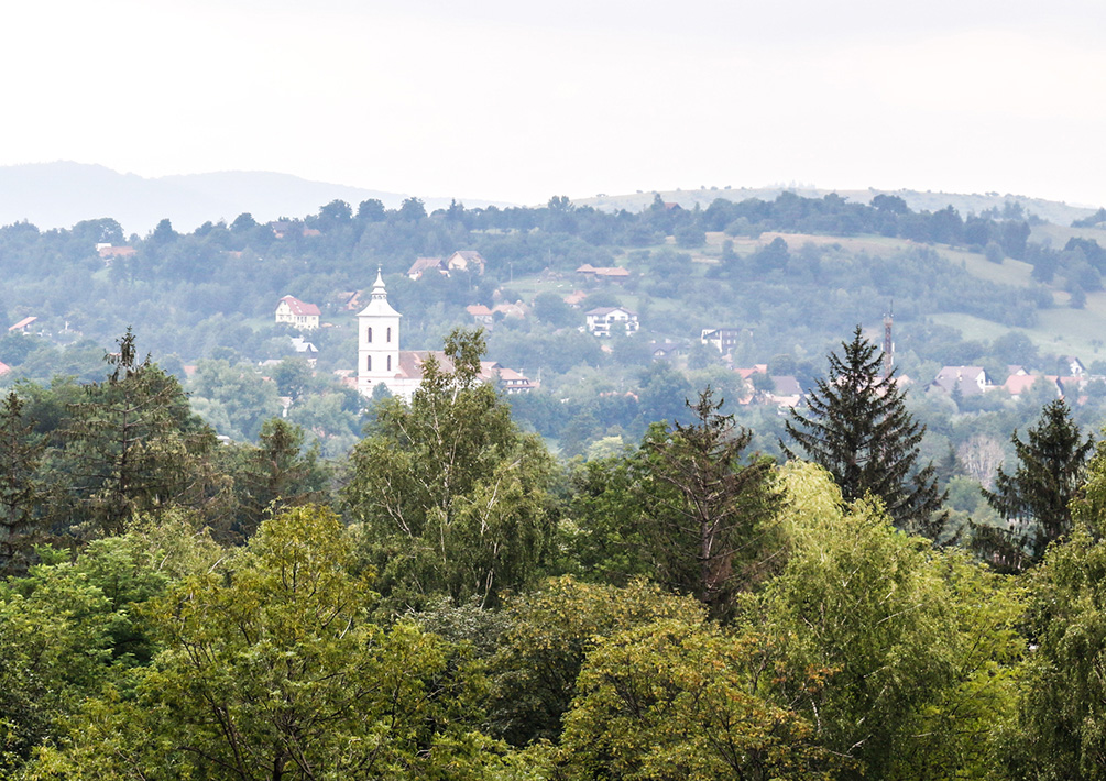 bran-castle-2