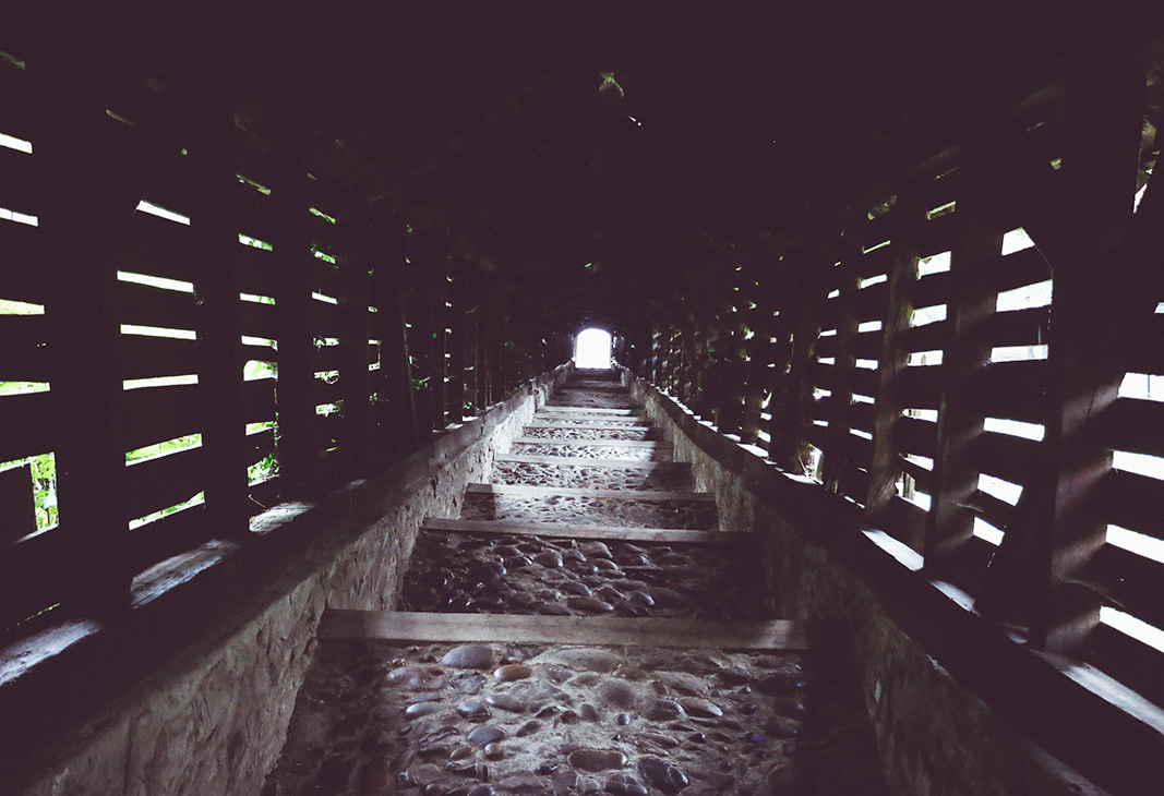 cemetary sighisoara