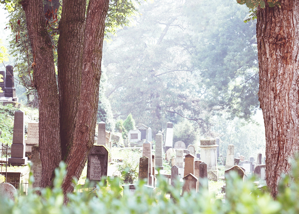 sighisoara cemetary 1