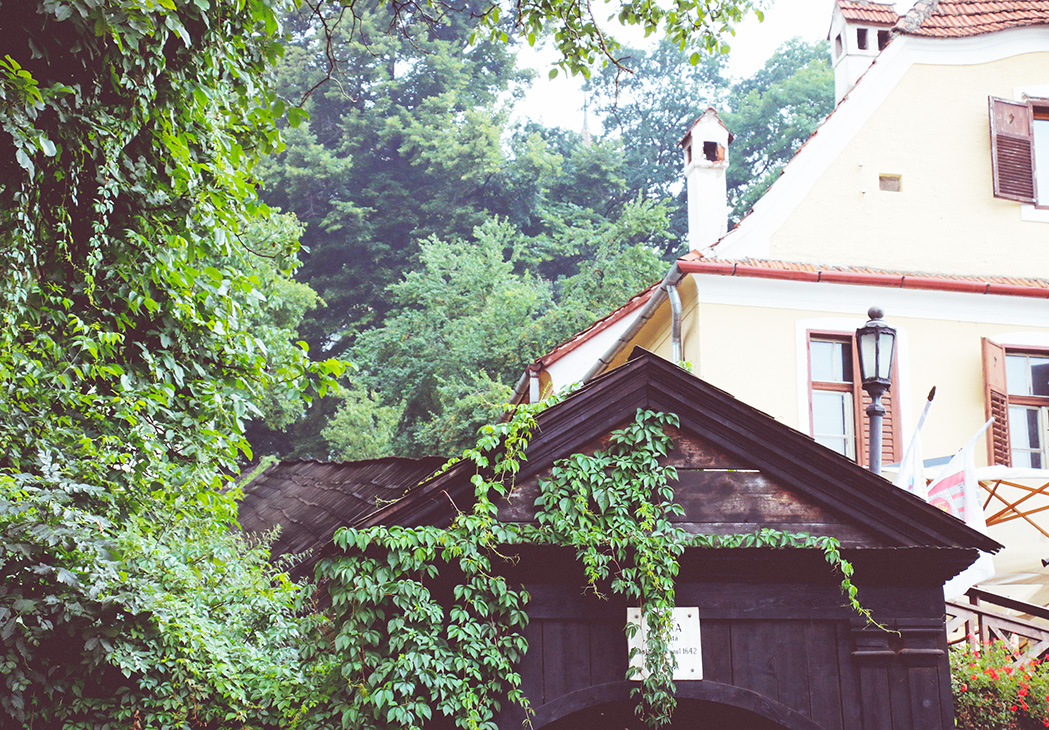 sighisoara cemetary 3