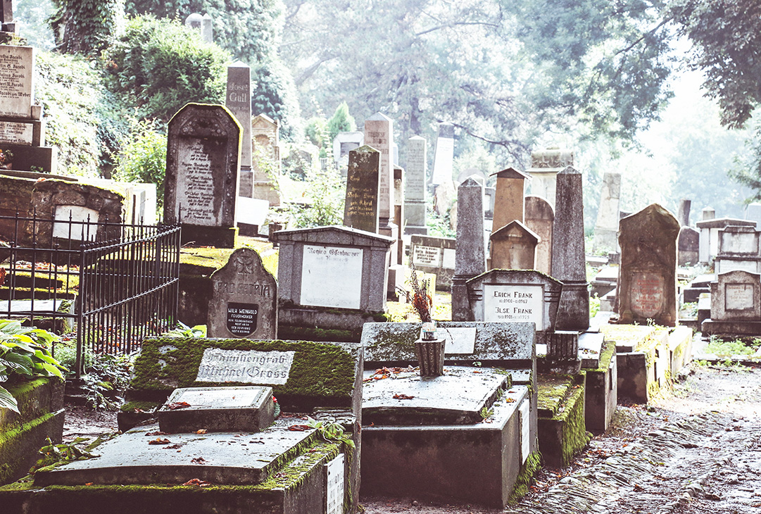 sighisoara cemetary 4