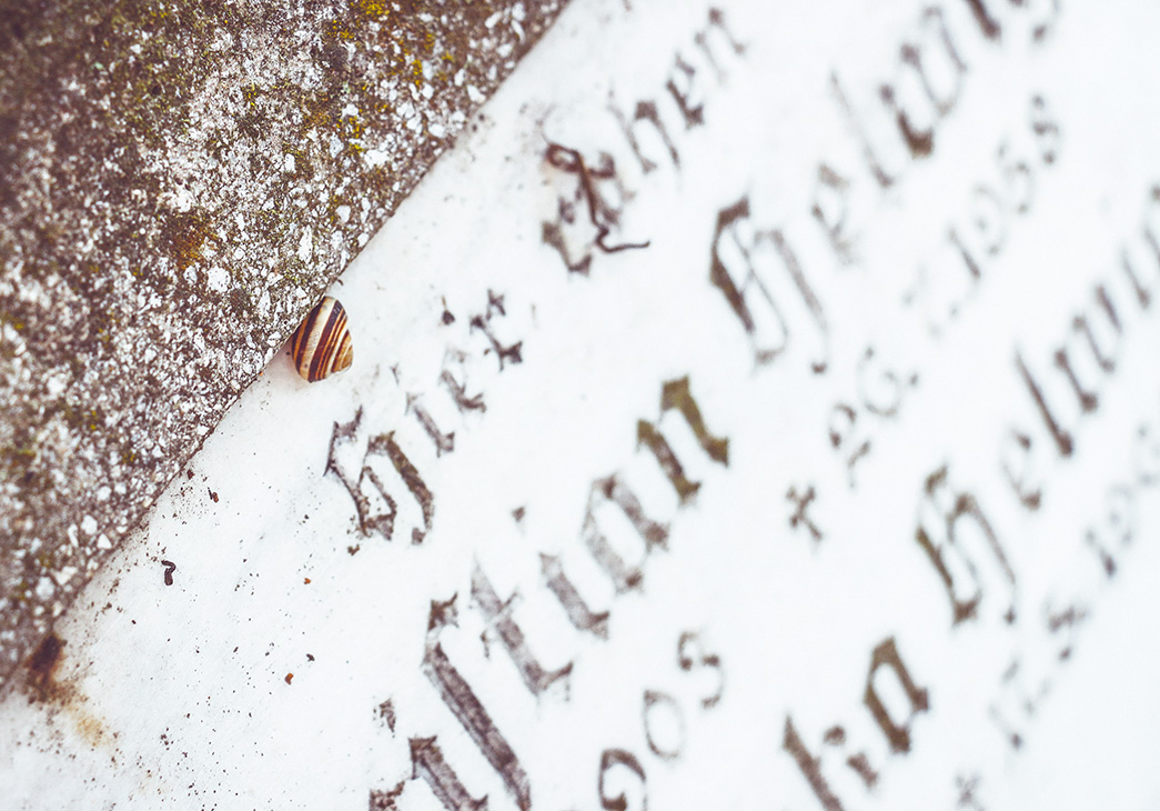 sighisoara cemetary 8